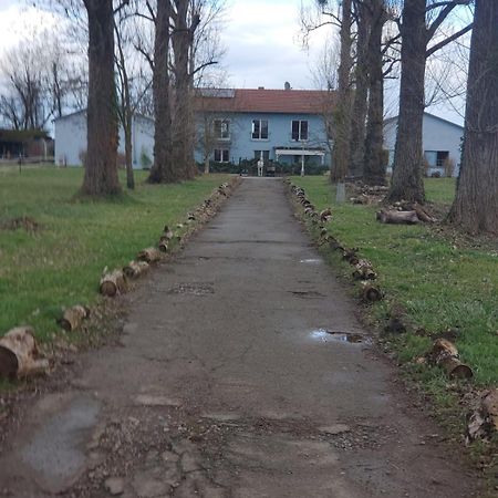 Grosse 3 Zi Wohnung Auf Der Pferde Farm Lahr  Dış mekan fotoğraf