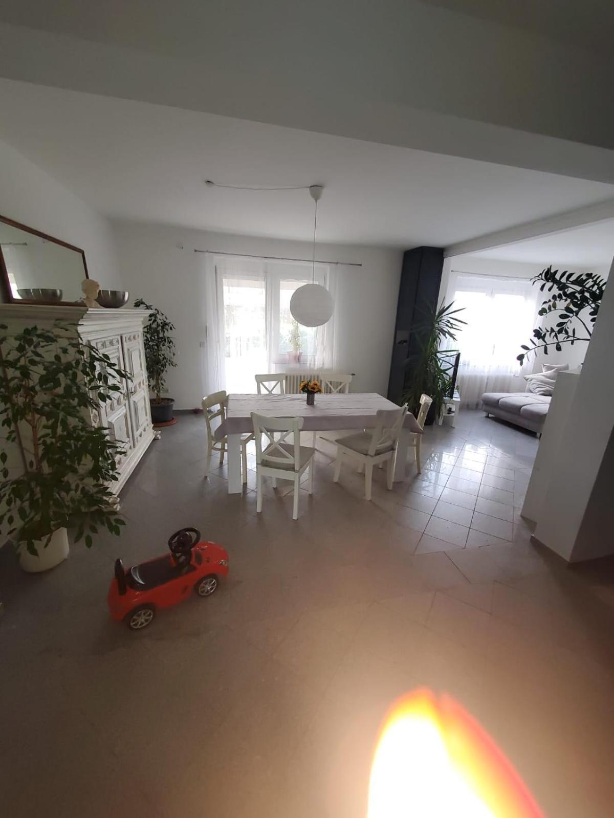 Grosse 3 Zi Wohnung Auf Der Pferde Farm Lahr  Dış mekan fotoğraf