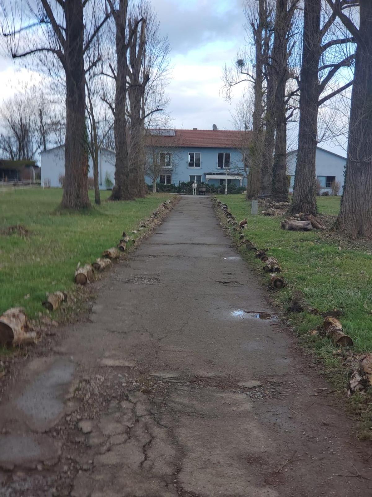 Grosse 3 Zi Wohnung Auf Der Pferde Farm Lahr  Dış mekan fotoğraf